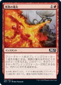 焦熱の竜火/Scorching Dragonfire 【日本語版】 [M21-赤C]