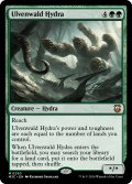 ウルヴェンワルドのハイドラ/Ulvenwald Hydra 【英語版】 [M3C-緑MR]