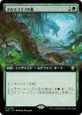 タルモゴイフの巣/Tarmogoyf Nest (拡張アート版) 【日本語版】 [M3C-緑R]