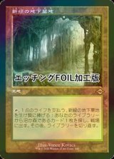 [FOIL] 新緑の地下墓地/Verdant Catacombs (旧枠, エッチング仕様) 【日本語版】 [MH2-土地R]