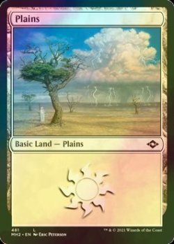 画像1: [FOIL] 平地/Plains No.481 【英語版】 [MH2-土地C]