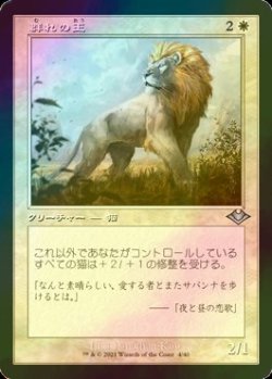 画像1: [FOIL] 群れの王/King of the Pride (旧枠) 【日本語版】 [MH2-白U]