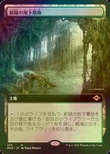 [FOIL] 新緑の地下墓地/Verdant Catacombs (拡張アート版) 【日本語版】 [MH2-土地R]