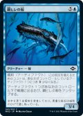 鋼ヒレの鯨/Steelfin Whale 【日本語版】 [MH2-青C]