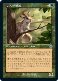 リスの君主/Squirrel Sovereign (旧枠) 【日本語版】 [MH2-緑U]