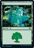 森/Forest No.490 【日本語版】 [MH2-土地C]