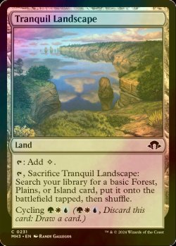 画像1: [FOIL] 安息地帯/Tranquil Landscape 【英語版】 [MH3-土地C]