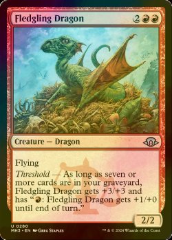 画像1: [FOIL] 巣立つドラゴン/Fledgling Dragon 【英語版】 [MH3-赤U]