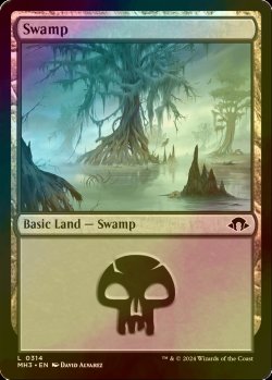 画像1: [FOIL] 沼/Swamp No.314 【英語版】 [MH3-土地C]