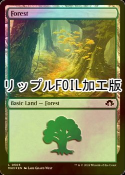 画像1: [FOIL] 森/Forest No.505 (リップル・フォイル仕様) 【英語版】 [MH3-土地C]