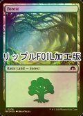 [FOIL] 森/Forest No.506 (リップル・フォイル仕様) 【英語版】 [MH3-土地C]