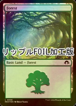 画像1: [FOIL] 森/Forest No.506 (リップル・フォイル仕様) 【英語版】 [MH3-土地C]