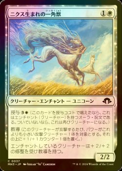 画像1: [FOIL] ニクス生まれの一角獣/Nyxborn Unicorn 【日本語版】 [MH3-白C]