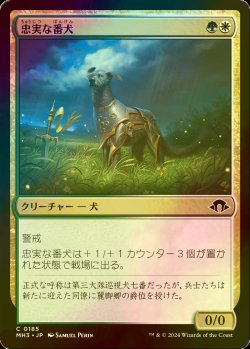 画像1: [FOIL] 忠実な番犬/Faithful Watchdog 【日本語版】 [MH3-金C]