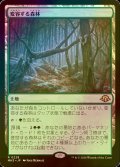 [FOIL] 変容する森林/Shifting Woodland 【日本語版】 [MH3-土地R]