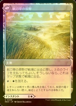 画像2: [FOIL] 剃刀草の待ち伏せ/Razorgrass Ambush 【日本語版】 [MH3-白U]