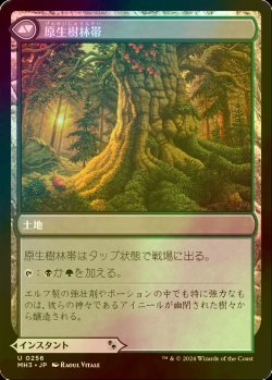 画像2: [FOIL] 力漲る腹拵え/Revitalizing Repast 【日本語版】 [MH3-金U]