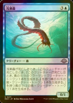 画像1: [FOIL] 浅瀬蟲/Reef Worm 【日本語版】 [MH3-青U]