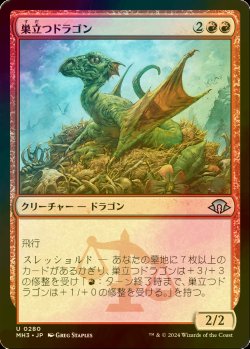 画像1: [FOIL] 巣立つドラゴン/Fledgling Dragon 【日本語版】 [MH3-赤U]