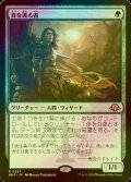 [FOIL] 森を護る者/Sylvan Safekeeper 【日本語版】 [MH3-緑R]