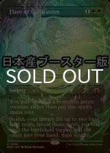 [FOIL] 耕作の閃光/Flare of Cultivation ● (全面アート・日本産ブースター版) 【英語版】 [MH3-緑R]