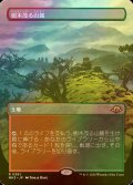 [FOIL] 樹木茂る山麓/Wooded Foothills (全面アート・海外産ブースター版) 【日本語版】 [MH3-土地R]