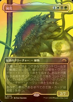 画像1: [FOIL] 屍花/The Necrobloom (全面アート・海外産ブースター版) 【日本語版】 [MH3-金R]