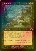 [FOIL] 毒の濁流/Toxic Deluge (旧枠・海外産ブースター版) 【日本語版】 [MH3-黒R]