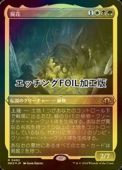 画像1: [FOIL] 屍花/The Necrobloom (エッチング仕様) 【日本語版】 [MH3-金R]