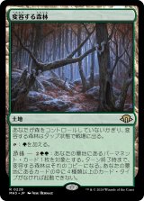 変容する森林/Shifting Woodland 【日本語版】 [MH3-土地R]