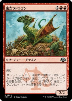 画像1: 巣立つドラゴン/Fledgling Dragon 【日本語版】 [MH3-赤U]