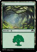 森/Forest No.319 【日本語版】 [MH3-土地C]