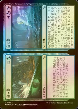 画像1: [FOIL] 浮き荷 + 捨て荷/Flotsam + Jetsam 【日本語版】 [MKM-金U]