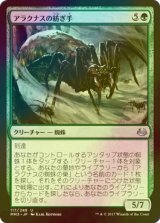 [FOIL] アラクナスの紡ぎ手/Arachnus Spinner 【日本語版】 [MM3-緑U]