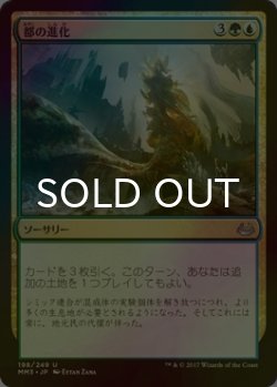 画像1: [FOIL] 都の進化/Urban Evolution 【日本語版】 [MM3-金U]