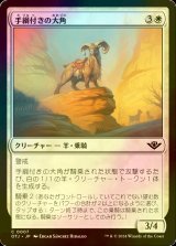 [FOIL] 手綱付きの大角/Bridled Bighorn 【日本語版】 [OTJ-白C] *詳細要確認