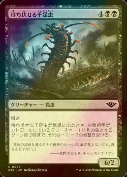 画像1: [FOIL] 待ち伏せる千足虫/Ambush Gigapede 【日本語版】 [OTJ-黒C] *詳細要確認