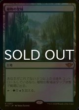 [FOIL] 植物の聖域/Botanical Sanctum 【日本語版】 [OTJ-土地R]