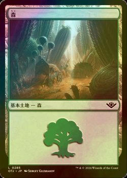 画像1: [FOIL] 森/Forest No.285 【日本語版】 [OTJ-土地C]