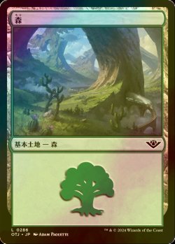 画像1: [FOIL] 森/Forest No.286 【日本語版】 [OTJ-土地C]