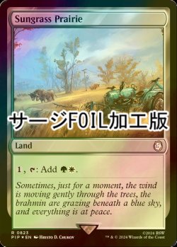 画像1: [FOIL] サングラスの大草原/Sungrass Prairie No.823 (サージ仕様) 【英語版】 [PIP-土地R]