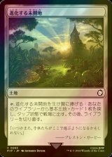 [FOIL] 進化する未開地/Evolving Wilds No.263 【日本語版】 [PIP-土地C]