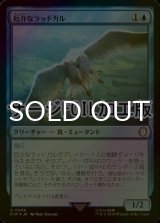 [FOIL] 厄介なラッドガル/Vexing Radgull No.569 (サージ仕様) 【日本語版】 [PIP-青U]