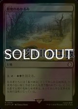 [FOIL] 僻地のぬかるみ/Desolate Mire No.674 (サージ仕様) 【日本語版】 [PIP-土地R]