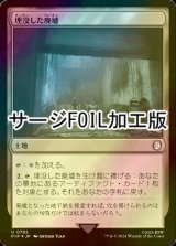 [FOIL] 埋没した廃墟/Buried Ruin No.782 (サージ仕様) 【日本語版】 [PIP-土地U]