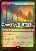 [FOIL] 燃えがらの林間地/Cinder Glade No.785 (サージ仕様) 【日本語版】 [PIP-土地R]