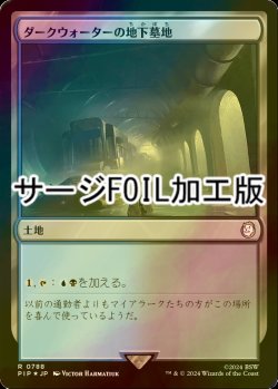 画像1: [FOIL] ダークウォーターの地下墓地/Darkwater Catacombs No.788 (サージ仕様) 【日本語版】 [PIP-土地R]