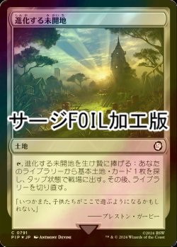 画像1: [FOIL] 進化する未開地/Evolving Wilds No.791 (サージ仕様) 【日本語版】 [PIP-土地C]