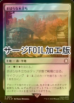 画像1: [FOIL] まばらな木立ち/Scattered Groves No.814 (サージ仕様) 【日本語版】 [PIP-土地R]