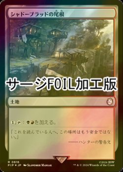 画像1: [FOIL] シャドーブラッドの尾根/Shadowblood Ridge No.816 (サージ仕様) 【日本語版】 [PIP-土地R]